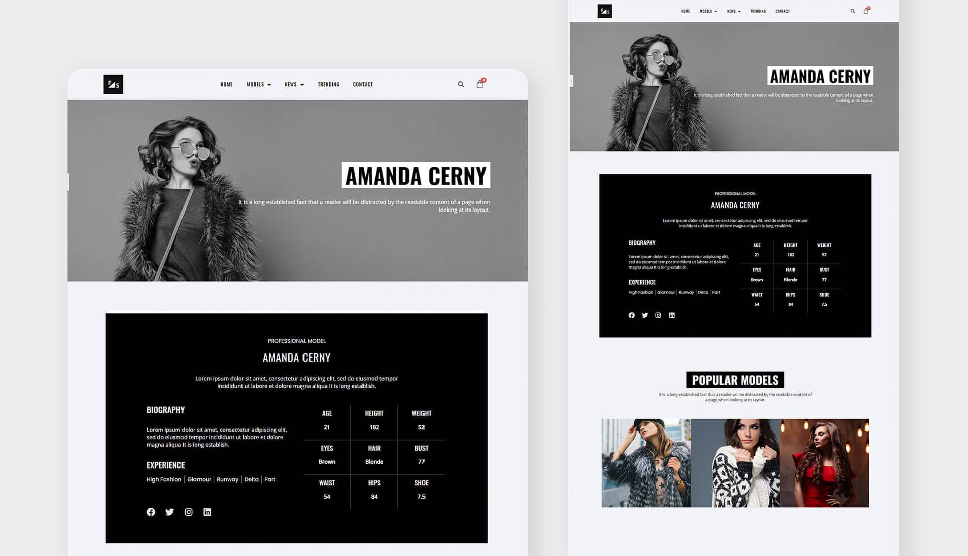 Fashion and Modeling Profile Page By Templately