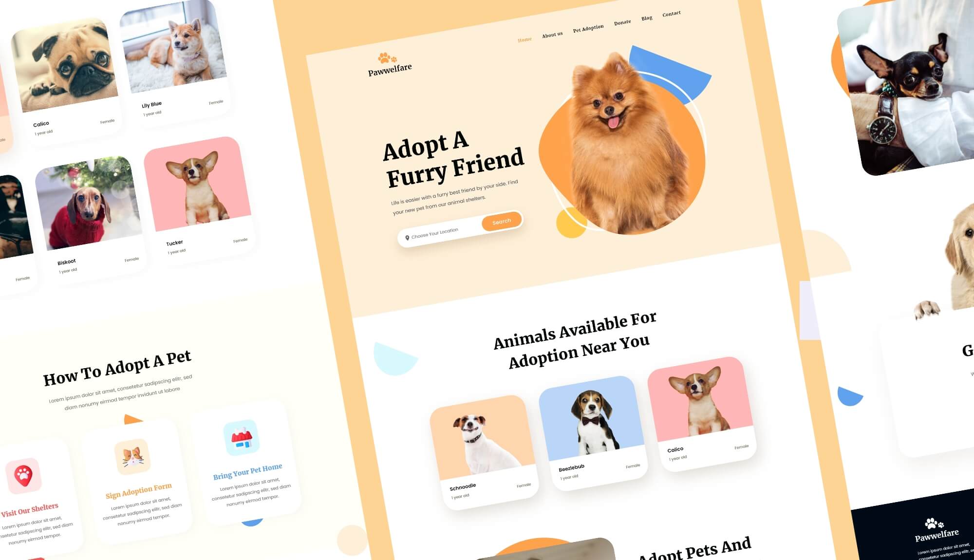 Pawwelfare - Animal Welfare Website Template Banner